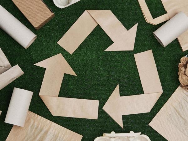 What Are the Most Significant Benefits of Paper Recycling?