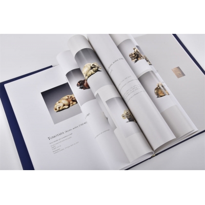 Children book printing